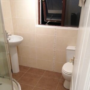 Restored bathroom tiles in a customers house in Northern Ireland